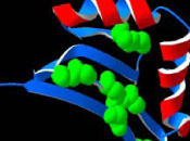 scientific illustration