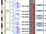 scientific illustration
