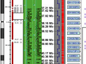 scientific illustration
