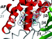 scientific illustration