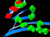 scientific illustration