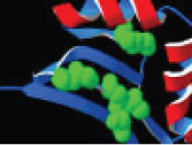 scientific illustration