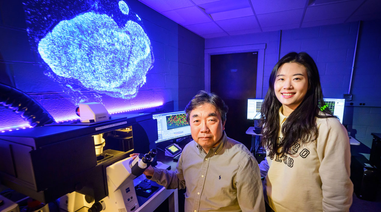 Illinois professor Bumsoo Han, left, and postdoctoral researcher Sae Rome Choi are authors of a new study exploring the use of DNA origami for better imaging of dense pancreatic tissue for cancer detection and potential treatment. Photo by Fred Zwicky