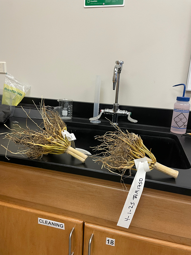 Art of Science behind the scenes