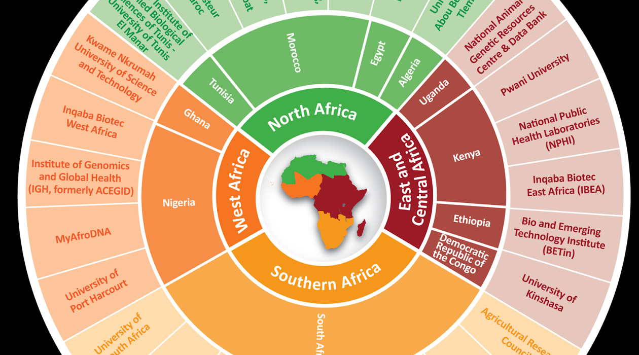 The AfricaBP brokered 27 hands-on practical opportunities (sponsorship and hosting) with African academic, research, and national institutions, and local corporations in 2024 to train 401 Africans in gene editing, genomics, bioinformatics, sample collections and processing, ethical, legal, and social issues during the Day 3 - Day 5 of the AfricaBP Open Institute regional workshops.