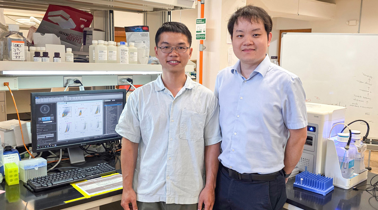 Cancer Center at Illinois (CCIL) member Hua Wang (right) and lab member Yusheng Liu