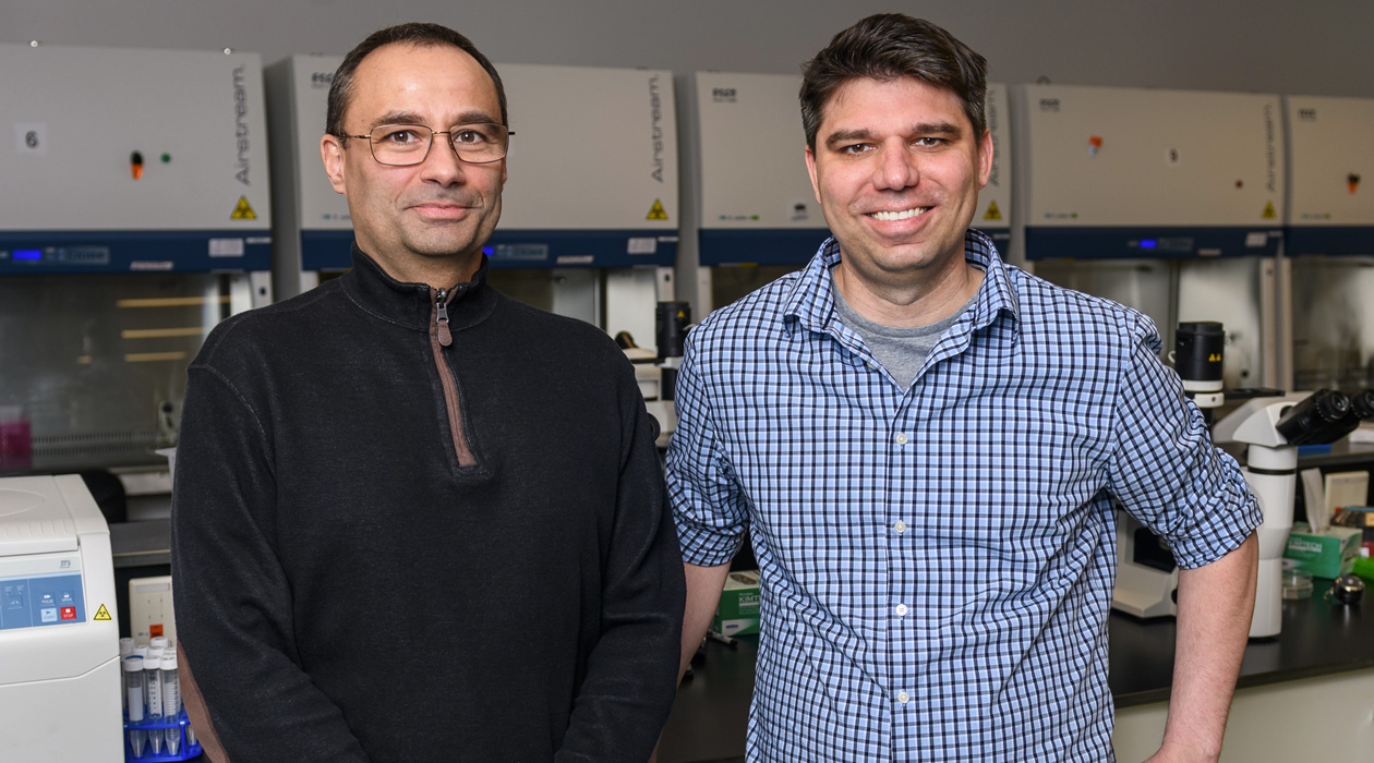 Bioengineering professors Pablo Perez-Pinera, left, and Thomas Gaj led a team that developed a gene editing tool to treat Huntington’s disease and tested it in mice. Photo by Craig Pessman 