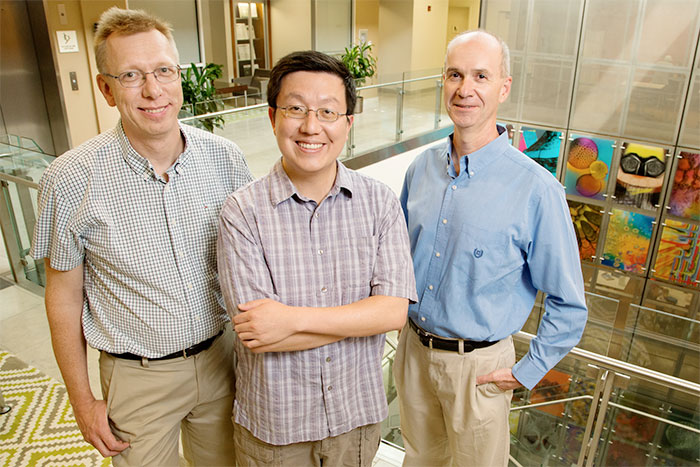 University of Illinois chemistry professor Wilfred van der Donk (left), postdoctoral researcher Kou-San Ju, microbiology professor William Metcalf and their colleagues used genome mining to discover many new natural products quickly and inexpensively.
