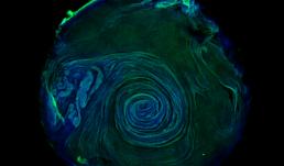 While the mechanisms driving activation of the innate immune response during viral infection are well understood, the spatial organization remains poorly defined. Using in vitro models of the respiratory tract, we aim to dissect how spatial structure shapes the activation of the innate immune response during influenza A virus infection.