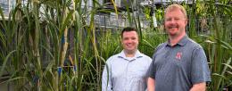 CABBI Director Andrew Leakey, right, and Postdoctoral Researcher Daniel Lunn with sugarcane, miscanthus, and sorghum plants in the CABBI greenhouse at the University of Illinois Urbana-Champaign. 