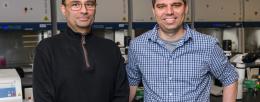 Bioengineering professors Pablo Perez-Pinera, left, and Thomas Gaj led a team that developed a gene editing tool to treat Huntington’s disease and tested it in mice. Photo by Craig Pessman 