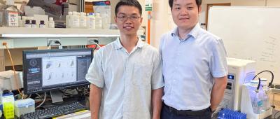 Cancer Center at Illinois (CCIL) member Hua Wang (right) and lab member Yusheng Liu