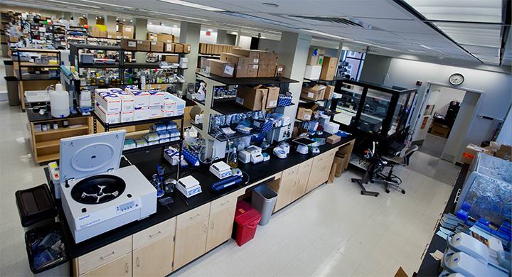 Interior of IGB lab