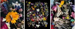flora and fauna