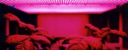 Polymer-based stretchable electrodes to remotely monitor plant growth