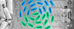 Harnessing microbial consortia to tackle plastic pollution