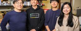 The researchers found that muscle with nerves released more of the brain-boosting factors than muscle without nerves. Pictured, from left: Professor Joon Kong and students Kai Yu Huang, Yujin An and Sehong Kang.