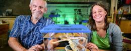  The researchers in a laboratory. Between them is a fish tank with an octopus inside.  Rhanor Gillette, left, and Ekaterina Gribkova developed an AI that can navigate new environments, seek novelty and rewards, and learn in real time. Their research into the neural pathways that drive behavior in sea slugs and octopuses guided the work.  Photo by Fred Zwicky