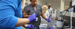 Particpants at the Genomics for Judges event use electrophoresis to test commercially available snacks for traces of GMOs.
