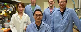from left, Postdoc Yujie Yuan, Postdoc Zhengyi Zhang, CABBI Conversion Theme Leader Huimin Zhao (seated), Ph.D. Candidate Wesley Harrison, and  Postdoc Maolin Li.