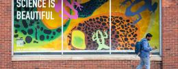 Colorful amphibian shapes adorn the lightbox along Neil Street, inspired by IGB research and created with the same techniques used in the IGB's Art of Science program.