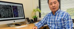 After observing that estrogen-treated dogs do not display sexual receptivity to males, Dr. Ko and his team began to investigate the brain regions responsible for sexual behavior. Currently, he is exploring super-resolution ultrasound technology for assessing changes in the hypothalamus, the control tower of the reproductive system.