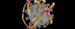 Illinois researchers developed a nanorobotic hand made of DNA that can grab viruses for detection or inhibition. In this artist’s rendering, three “NanoGripper” hands wrap around a COVID-19 virus.  Image courtesy of Xing Wang