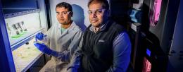 From left, postdoctoral researcher Bidhan Chandra De, chemistry professor Angad Mehta and their colleagues found evidence indicating that chloroplasts may have originated as energy-generating organelles and later evolved to support carbon assimilation in plant cells.  Photo by Fred Zwicky
