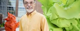 Gustavo Caetano-Anollés, professor in the Department of Crop Sciences