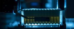 Bioeconomy U: How Illinois is leading the bio-revolution