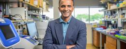  Joseph Irudayaraj      Founder Professor in Bioengineering