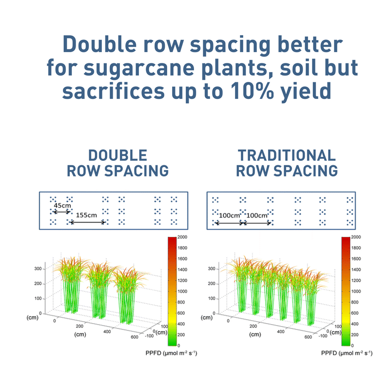 Double row spacing is better for sugarcane plants, soil but sacrifices up to 10% of yield.