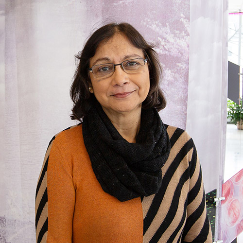 Indrani C. Bagchi