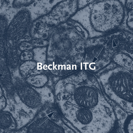 Beckman