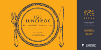 Lunchbox Series