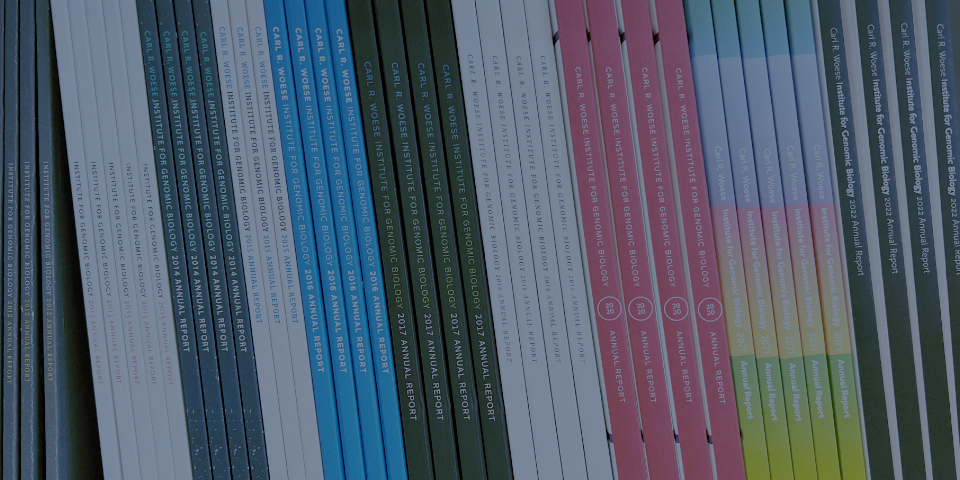 IGB Annual Report