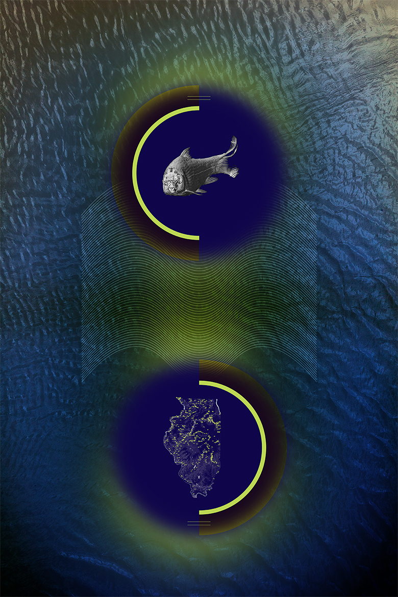 WATER<br />
Scientist Collaborator Christopher A. Taylor<br />
IGB Core Facilities & The Illinois Natural History Survey<br />
NSI X5000 High Resolution MicroCT and rendered in 3D using Imaris 3D<br />
Funded by the Illinois Natural History Survey