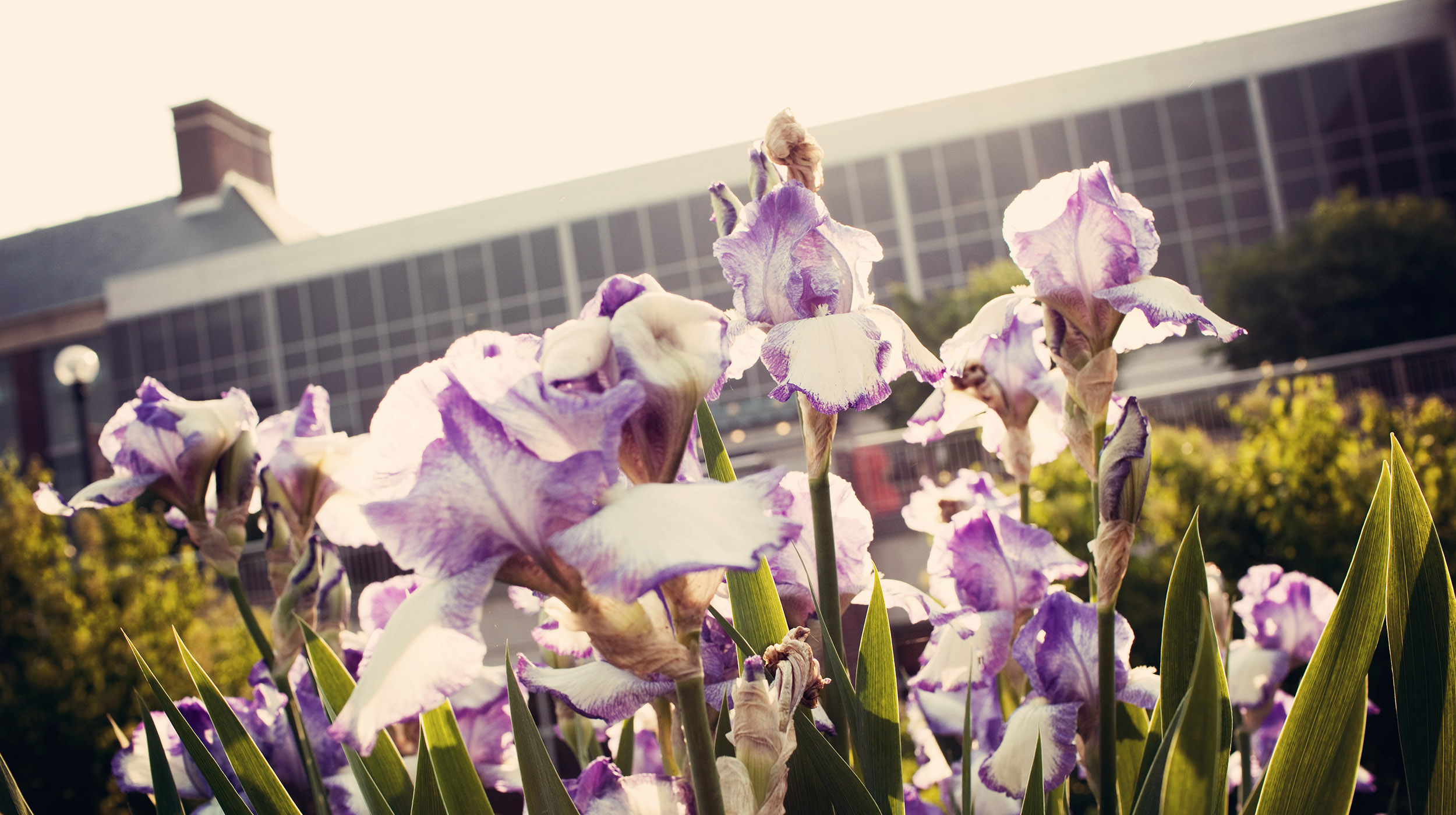 Bioeconomy and Entrepreneurship