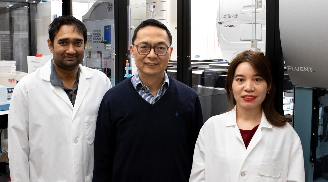 Nilmani Singh, Chemical and Biomolecular Engineering Professor Huimin Zhao, and Yujie Yuan developed the automated platform FAST-NPS to accelerate bioactive natural product discovery. / Isaac Mitchell