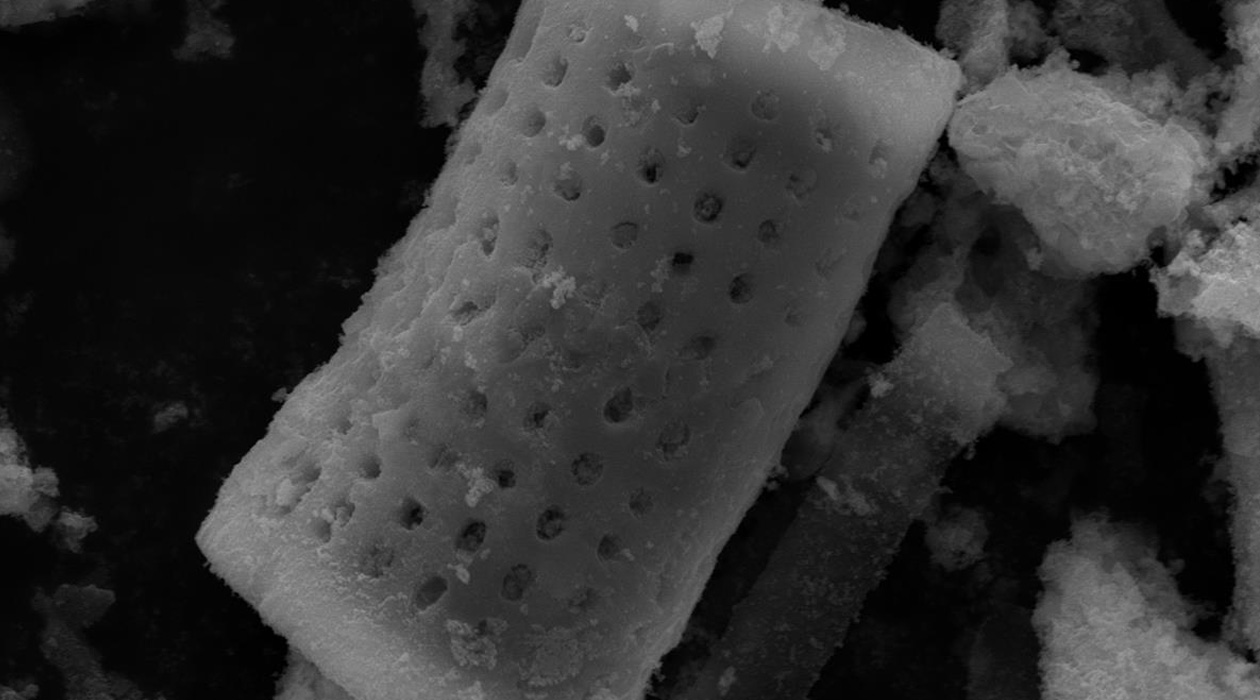 Cylindrical microparticles with a catalytic coating release tiny oxygen bubbles that coalesce and burst to disrupt stubborn biofilms on contaminated surgical instruments and infected wounds. / Yujin Ahn