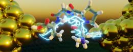 Electron transport, the energy-generating process inside living cells that enables photosynthesis and respiration, is enhanced in peptides with a collapsed, folded structure