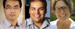 Three Illinois professors are recipients of Alfred P. Sloan Research Fellowships this year: from left, materials science and engineering professor Yingjie Zhang, chemistry professor Angad Mehta, and chemistry professor Lisa Olshansky.