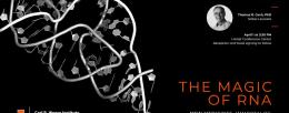 Thomas R. Cech, PhD, Nobel Laureate and Distinguished Professor of Biochemistry, University of Colorado Boulder will give the  IGB Distinguished Public Lecture in Genomics "The Magic of RNA: New Medicines, Immortality, and the Power to Control Evolution"