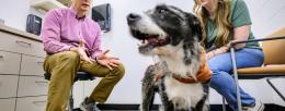 Veterinary clinical medicine professor Dr. Timothy Fan consults Sara Tondini about her dog, Milton. Photo by Fred Zwicky