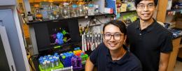 Graduate student Owen Ouyang, left, and professor Nicholas Wu found common features among antibodies that bind to the influenza antigen hemagglutinin, a key target for vaccine development. Photo by Michelle Hassel