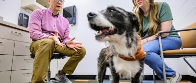Veterinary clinical medicine professor Dr. Timothy Fan consults Sara Tondini about her dog, Milton. Photo by Fred Zwicky