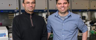 Bioengineering professors Pablo Perez-Pinera, left, and Thomas Gaj led a team that developed a gene editing tool to treat Huntington’s disease and tested it in mice. Photo by Craig Pessman 
