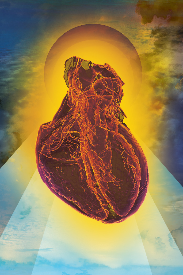 Accords<br />
Scientist Collaborator Joanne Vanessa Hwang<br />
Hyunjoon Kong Laboratory Group<br />
X5000 NSI High Resolution CT and rendered in 3D using Imaris 3D