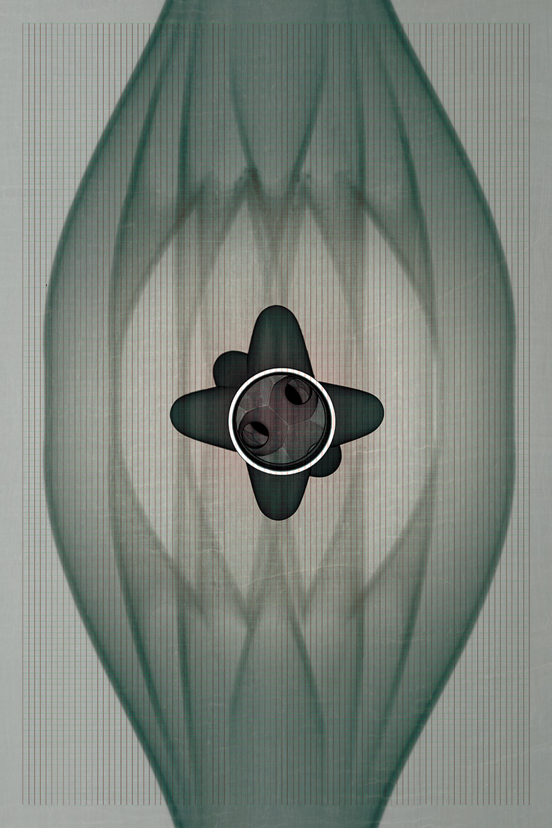Lasiren's Crossroads<br />
Scientist Collaborator Kazi Fazle Rabbi<br />
Nenad Miljkovic Laboratory Group<br />
X5000 NSI High Resolution CT and rendered in 3D using Imaris<br />
Funded by the IGB Core Facilities