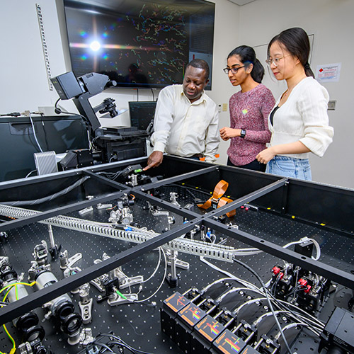 Agriculture & Energy